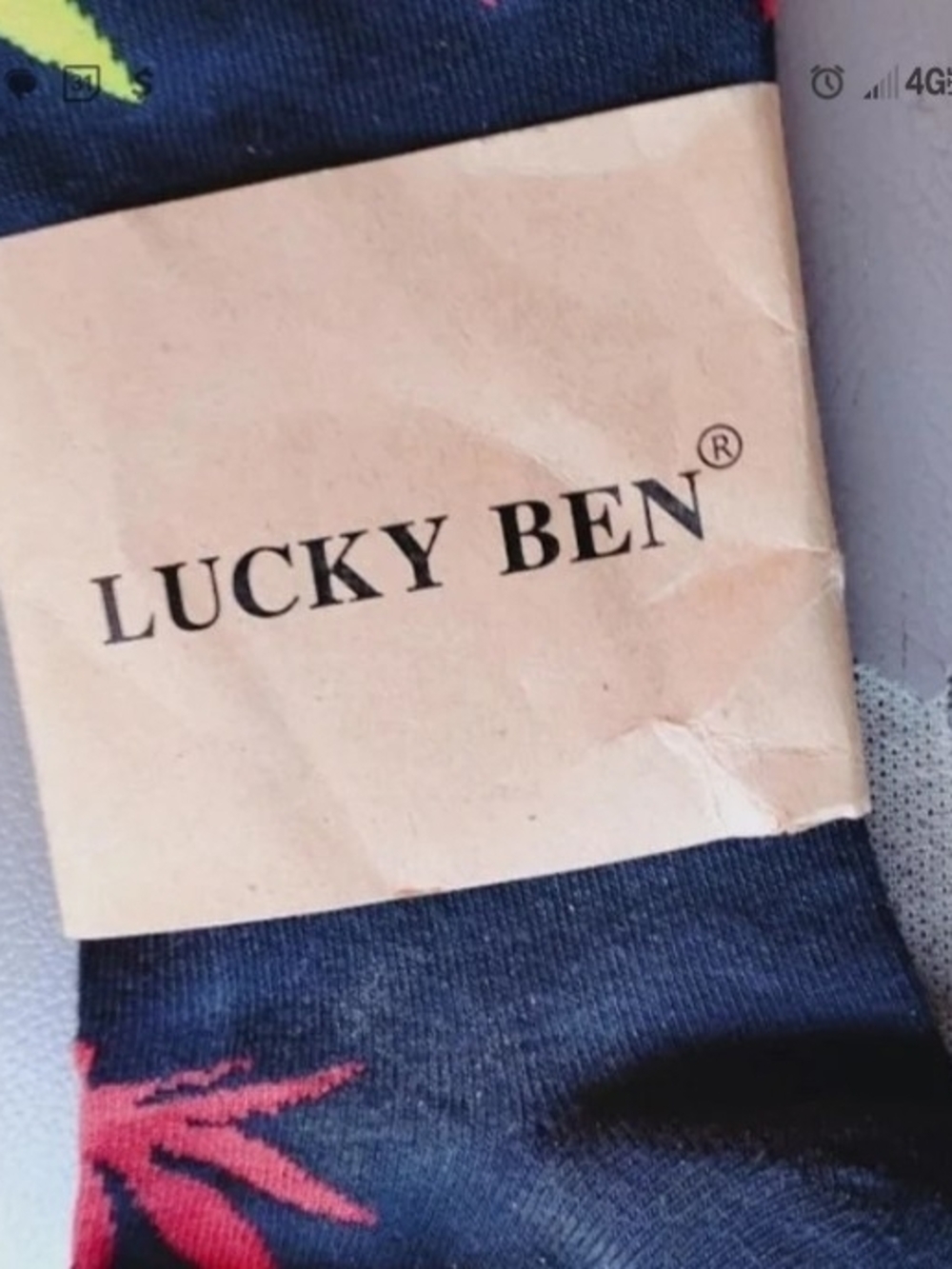 Pair of Novelty Socks